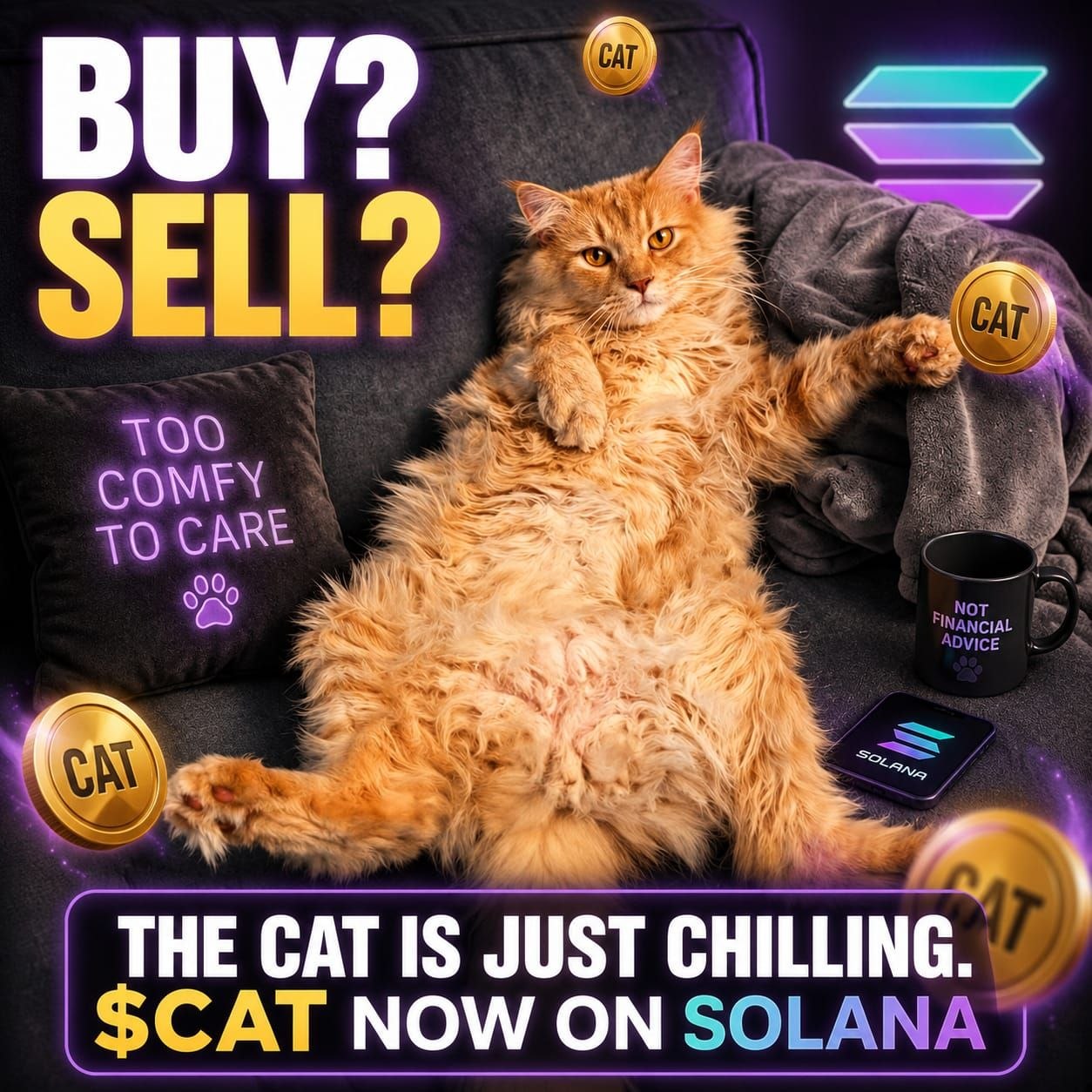 The cat is just chilling — $CAT now on Solana
